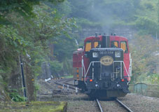 トロッコ列車 トロッコ列車